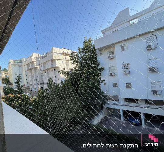 רשת למניעת כניסת יונים על רקע בניינים